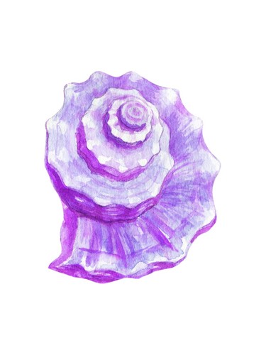 Lila muschel aquarell poster - lila, |