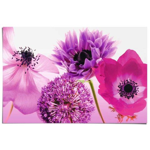 Poster lila sommer papier - lila,