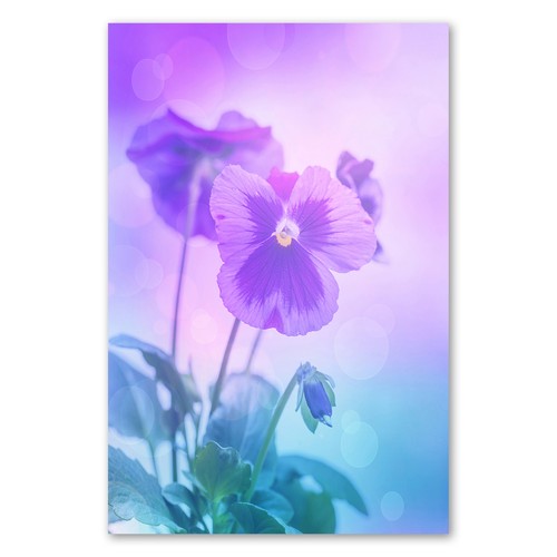 Postereck 1425 poster leinwand - postereck,