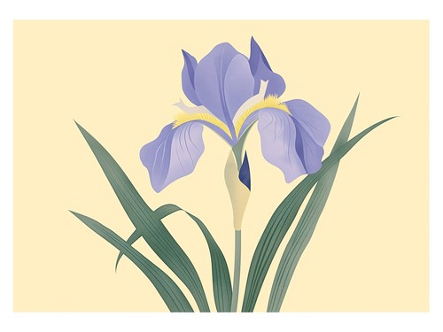 Lila iris botanisches poster - botanisches,
