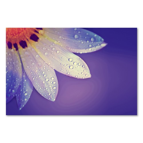 Postereck 1506 poster - postereck,