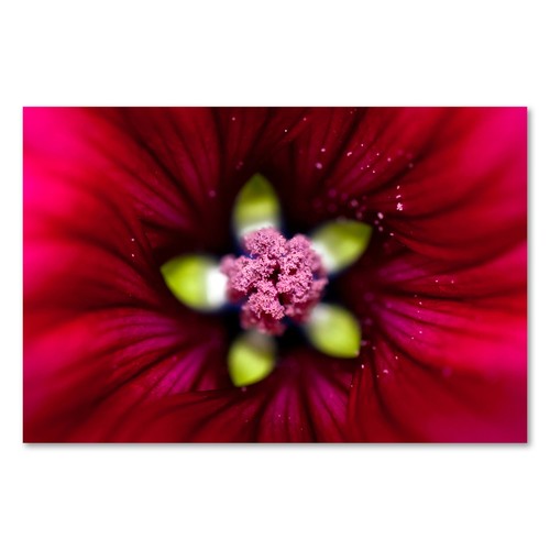 Postereck 1256 poster leinwand - 1256,