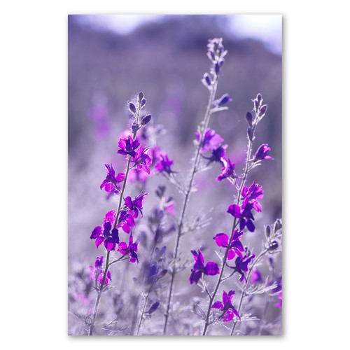 Postereck 2385 poster leinwand - 2385,