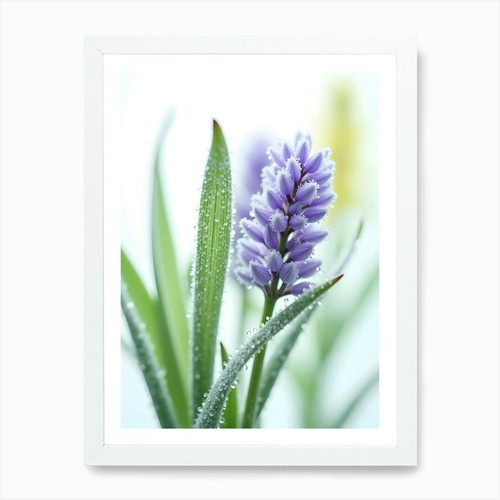 Lila blume mit tautropfen - blume,