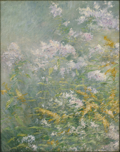 Wild lilac garden bloom poster - garden,
