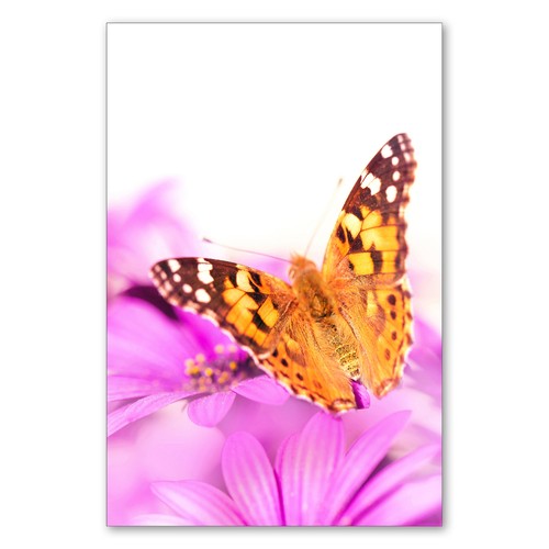 Postereck 1299 poster - postereck,