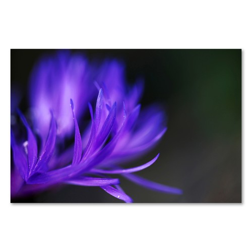 Postereck 2773 poster - 2773,