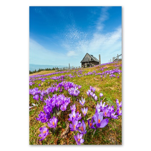 Postereck 3203 poster leinwand - poster,