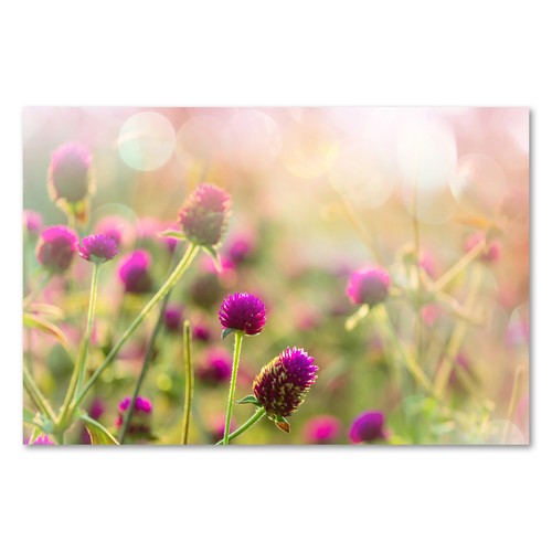 Postereck 2834 poster leinwand - postereck,