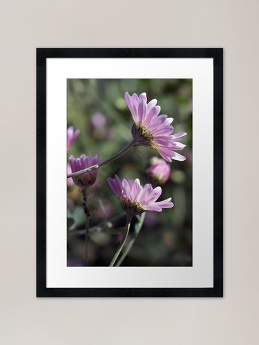 Lila blumen auf natur - lila,