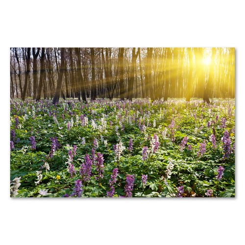 Postereck 1764 poster leinwand - postereck,
