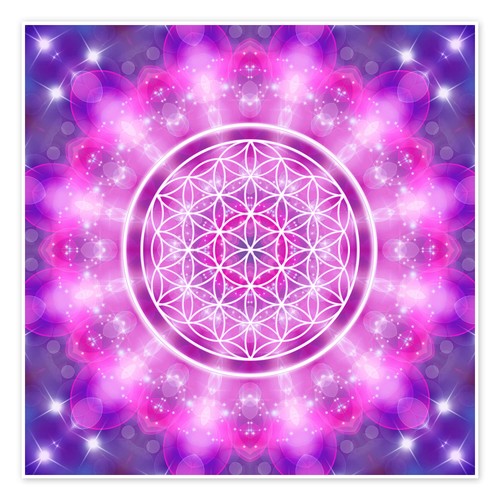 Poster blume des lebens - des, –