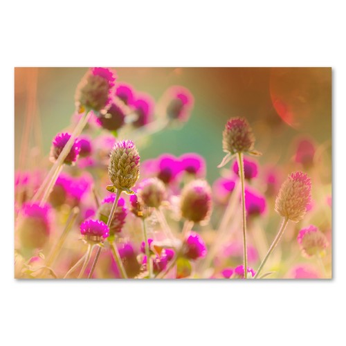 Postereck 2833 poster leinwand - 2833,