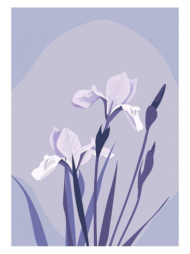 Lila iris minimalistisches - lila,