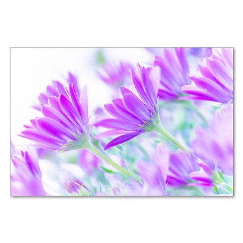 Postereck 1427 poster leinwand - poster,