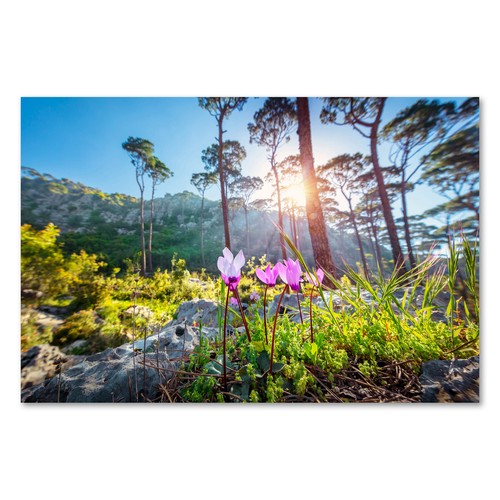 Postereck 3184 poster leinwand - poster,