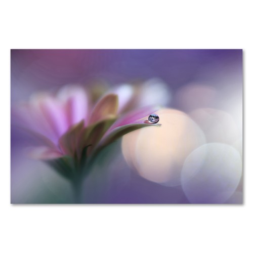 Postereck 2978 poster leinwand - poster,