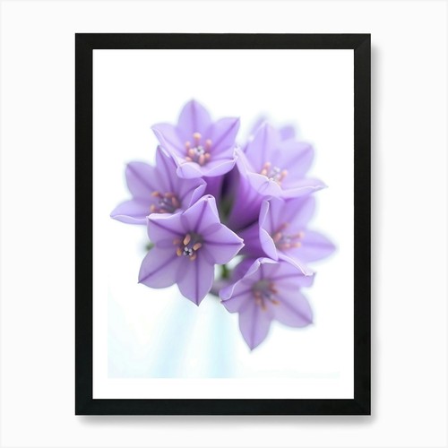 Nahaufnahme lila blumen - lila,