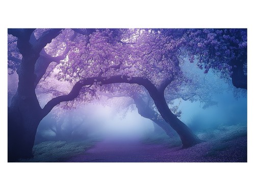 Mystischer lila wald - mystischer,