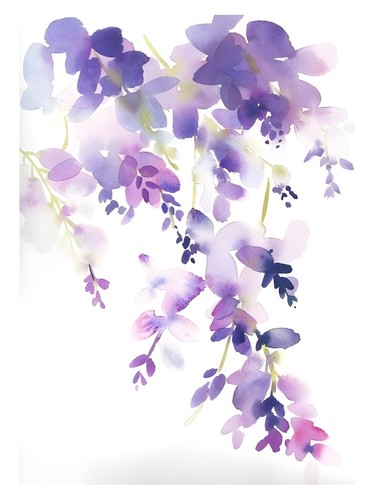 Lila blumen aquarell - lila,