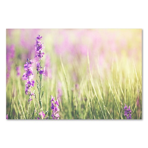 Postereck 3051 poster - postereck,