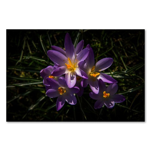 Postereck 1530 poster leinwand - poster,